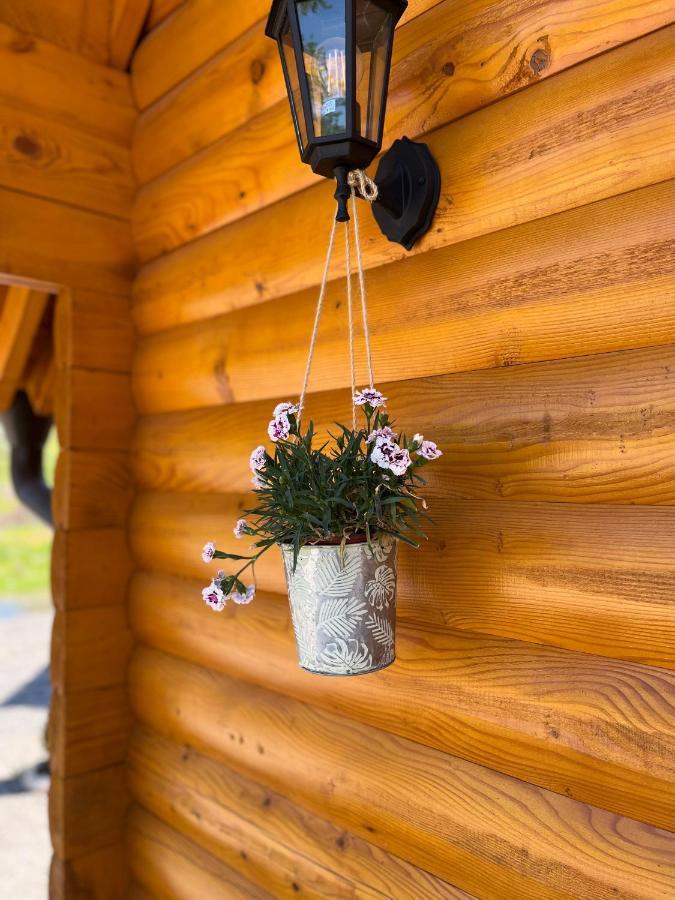 Willa Brvnare Madera Banja Ždrelo Zewnętrze zdjęcie